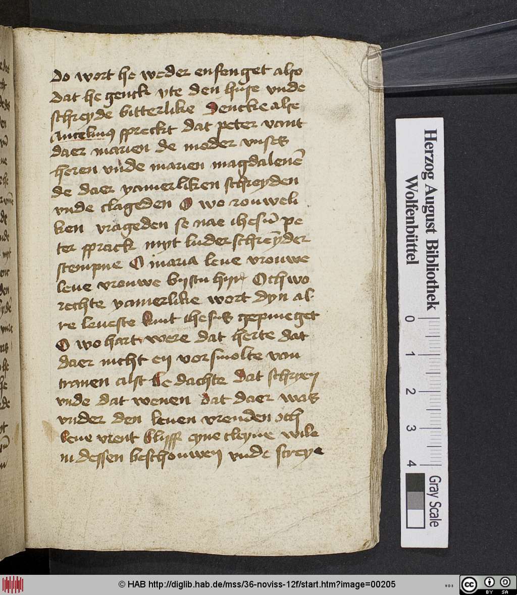 http://diglib.hab.de/mss/36-noviss-12f/00205.jpg