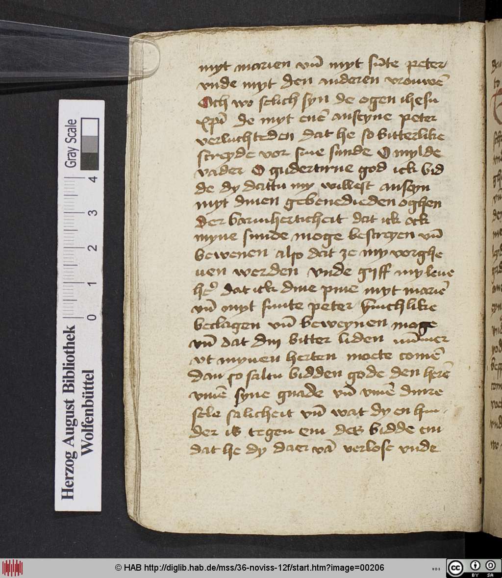 http://diglib.hab.de/mss/36-noviss-12f/00206.jpg