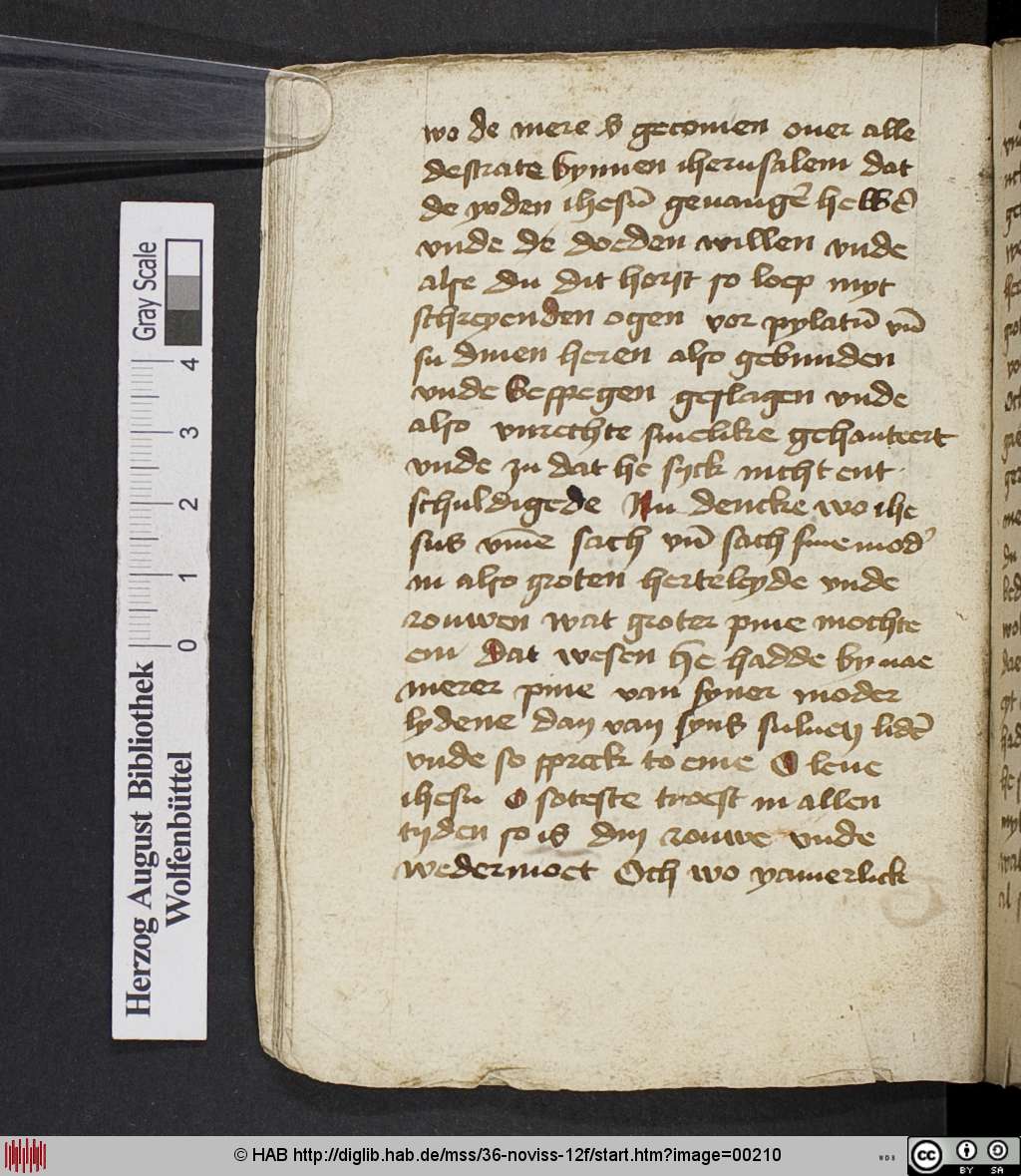 http://diglib.hab.de/mss/36-noviss-12f/00210.jpg