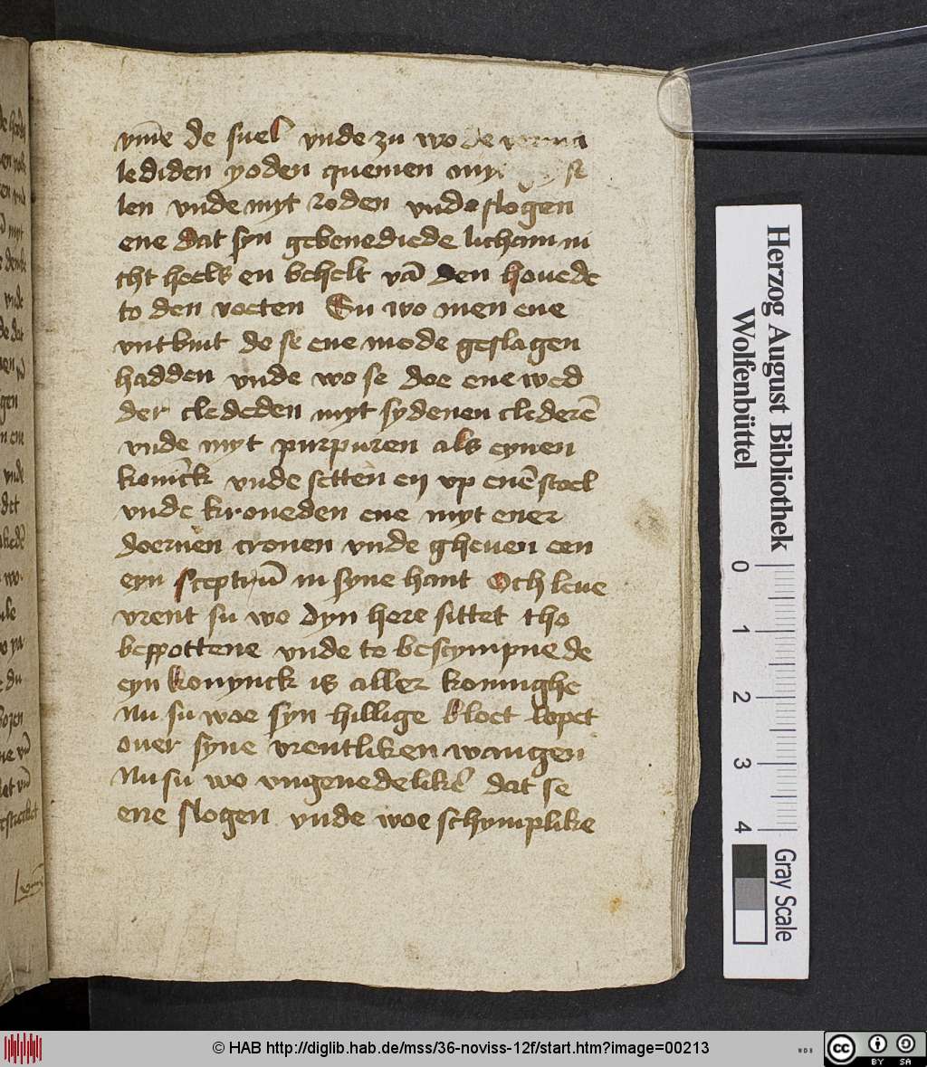 http://diglib.hab.de/mss/36-noviss-12f/00213.jpg
