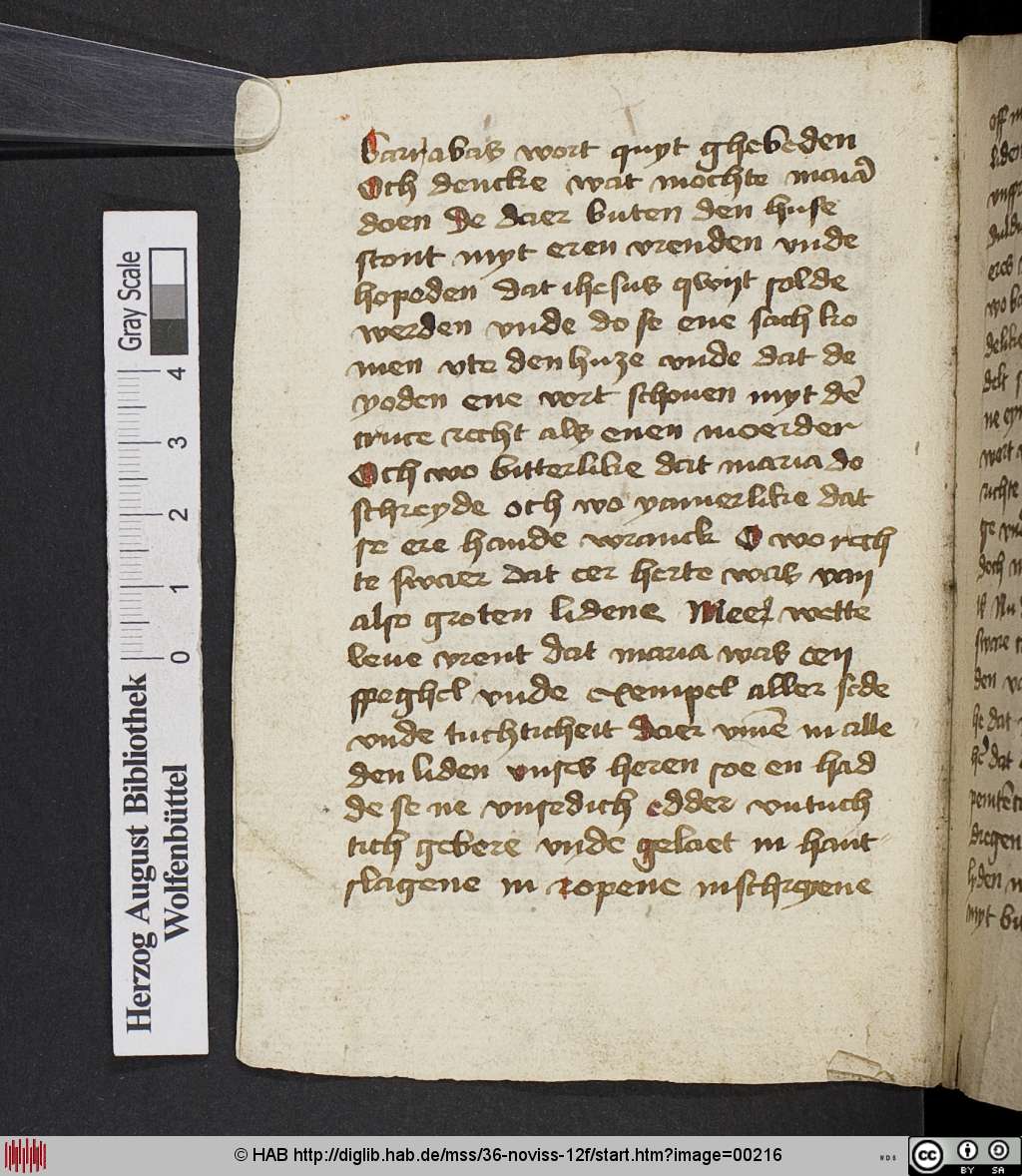 http://diglib.hab.de/mss/36-noviss-12f/00216.jpg