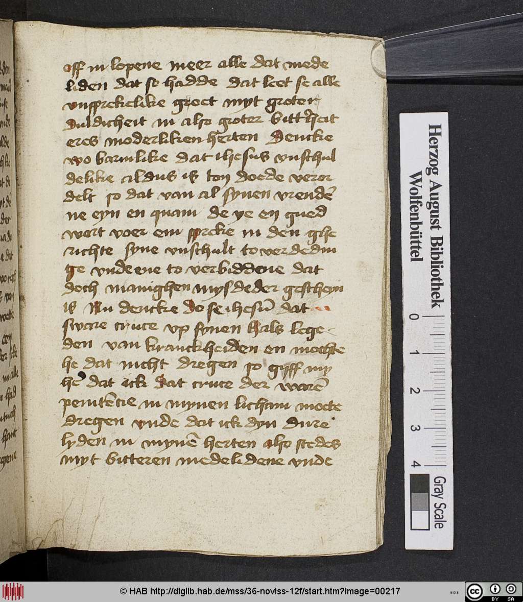 http://diglib.hab.de/mss/36-noviss-12f/00217.jpg