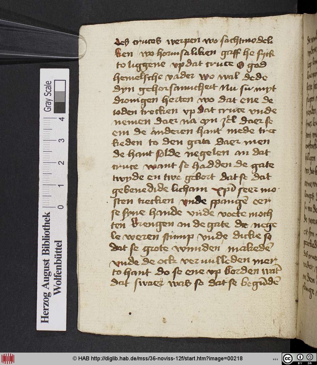 http://diglib.hab.de/mss/36-noviss-12f/00218.jpg