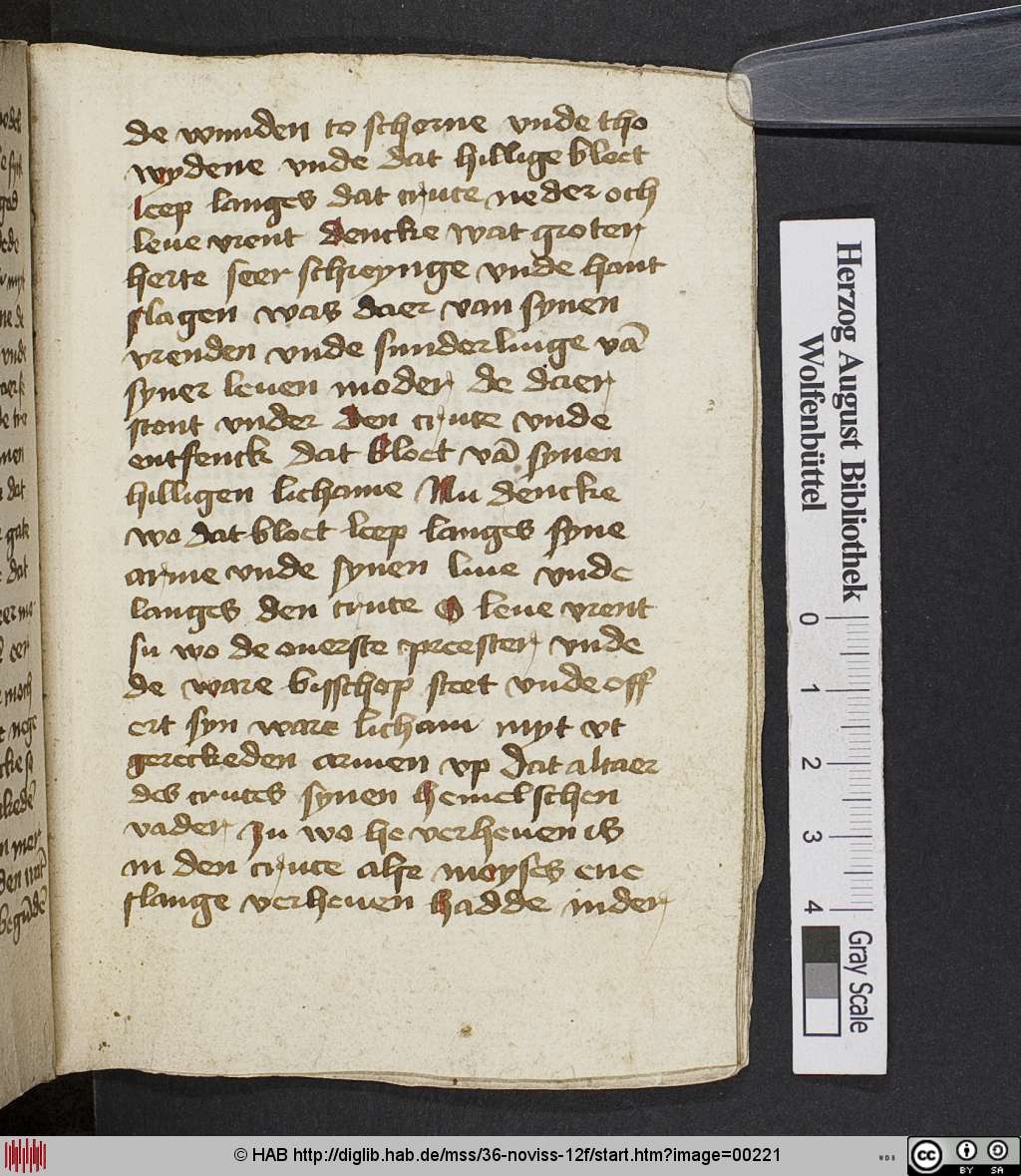 http://diglib.hab.de/mss/36-noviss-12f/00221.jpg