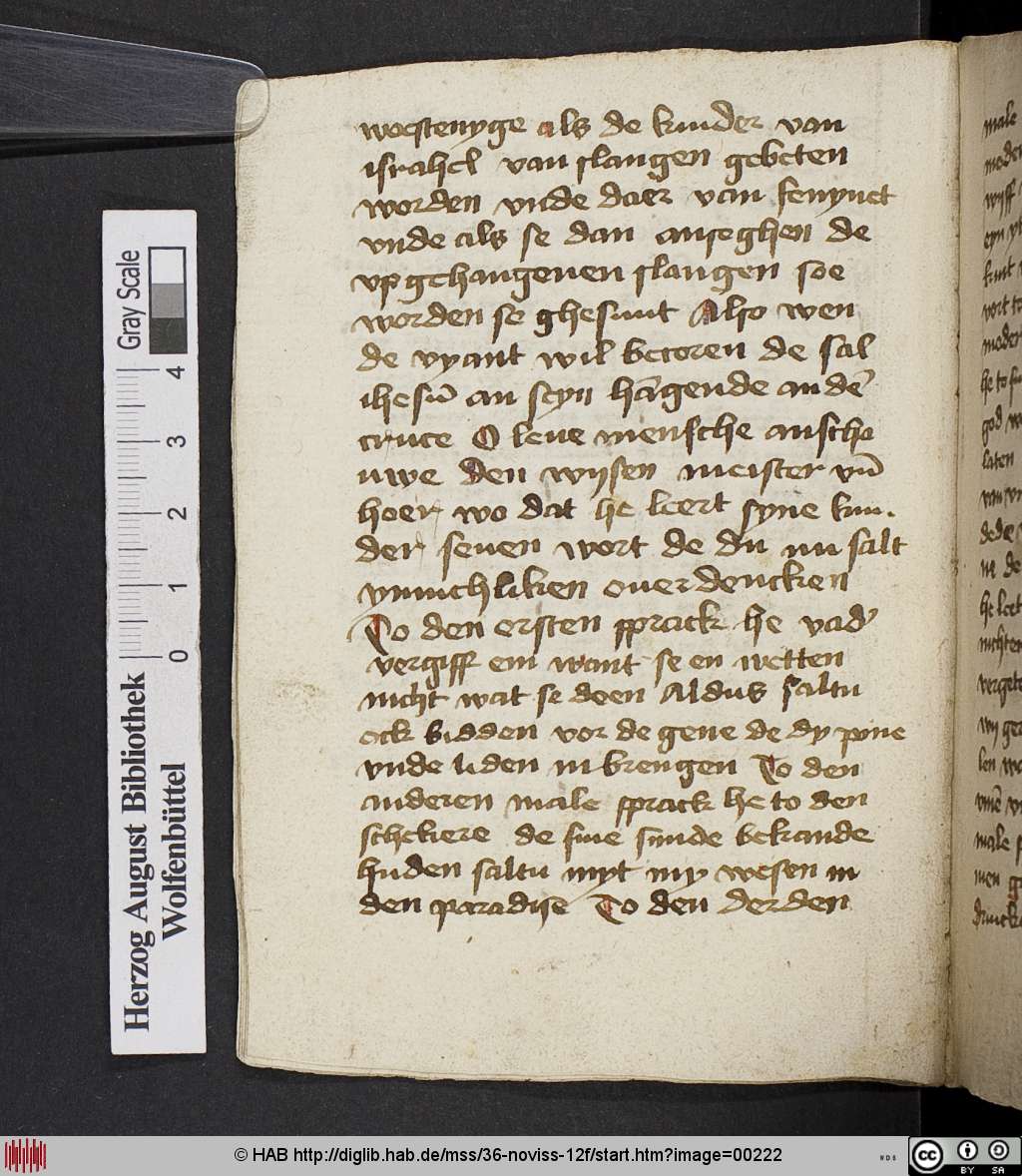 http://diglib.hab.de/mss/36-noviss-12f/00222.jpg