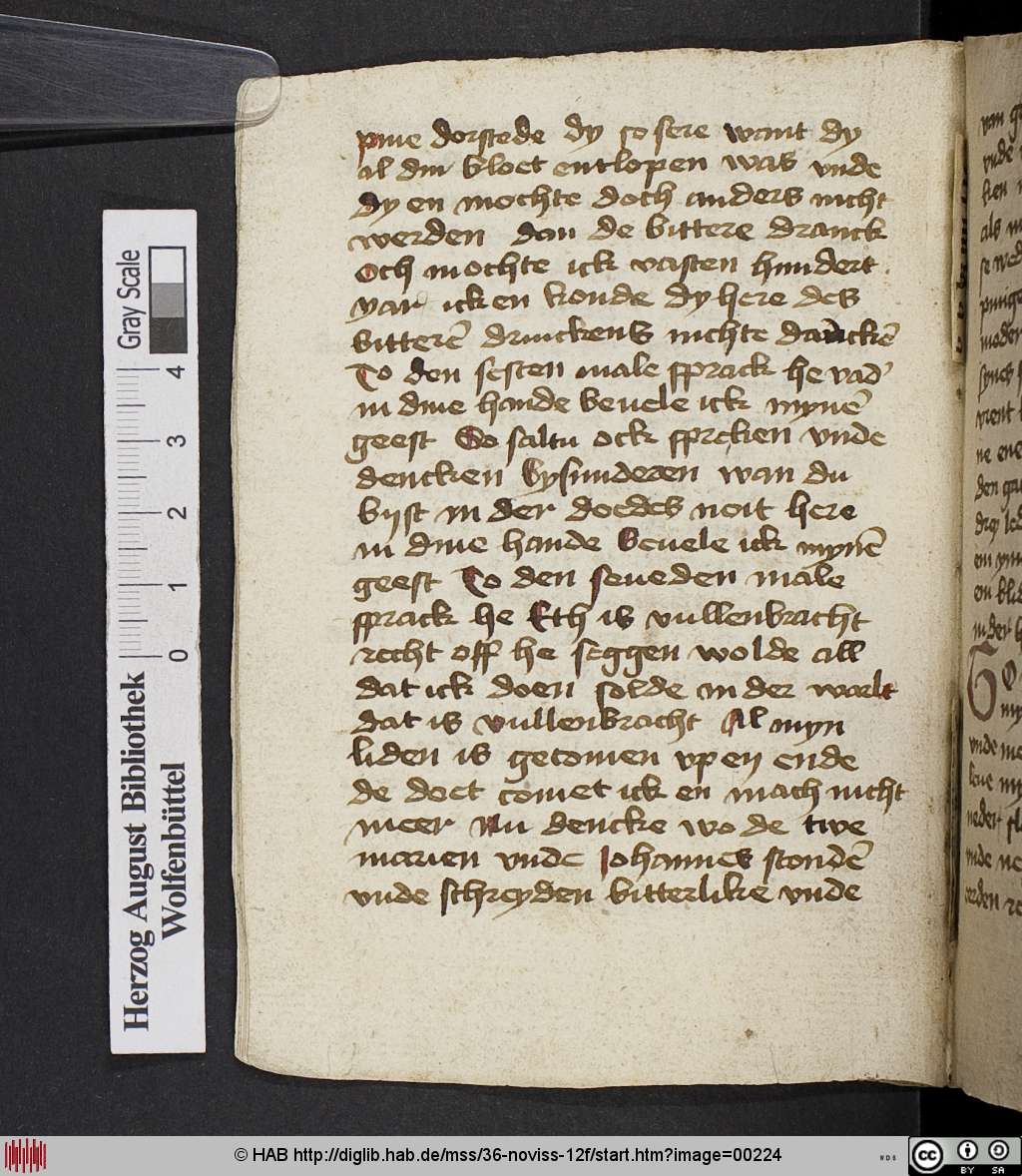 http://diglib.hab.de/mss/36-noviss-12f/00224.jpg
