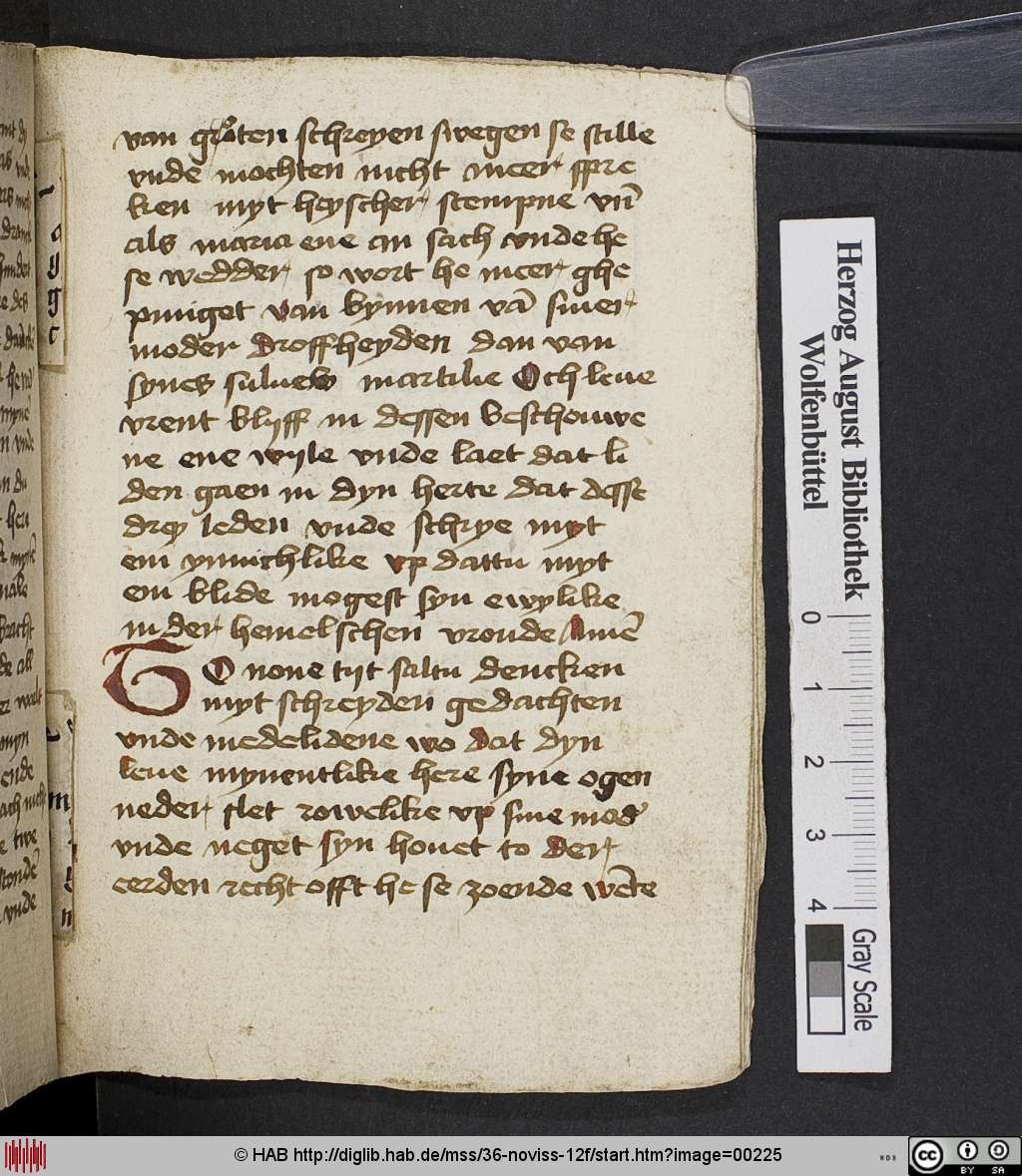 http://diglib.hab.de/mss/36-noviss-12f/00225.jpg