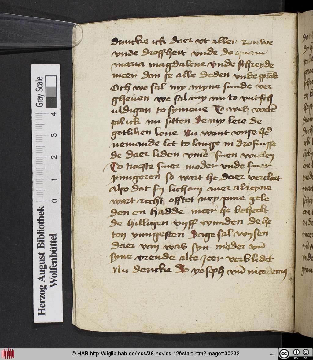 http://diglib.hab.de/mss/36-noviss-12f/00232.jpg