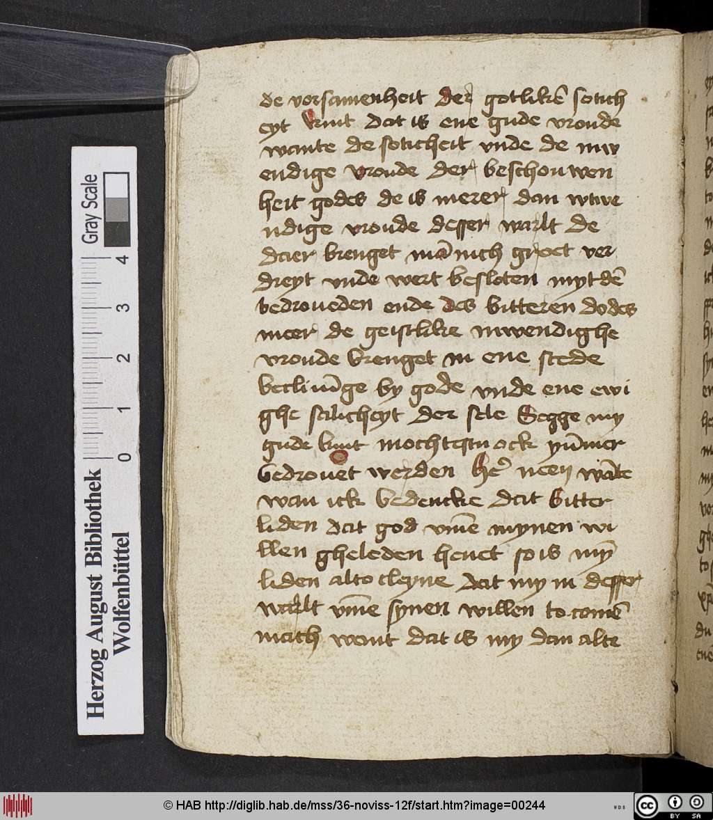 http://diglib.hab.de/mss/36-noviss-12f/00244.jpg