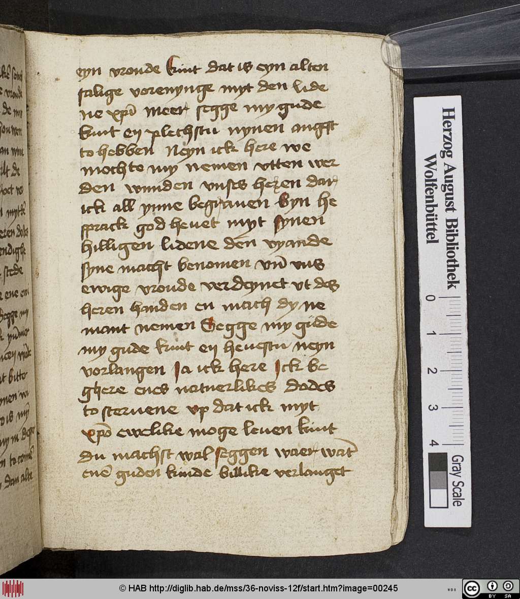 http://diglib.hab.de/mss/36-noviss-12f/00245.jpg