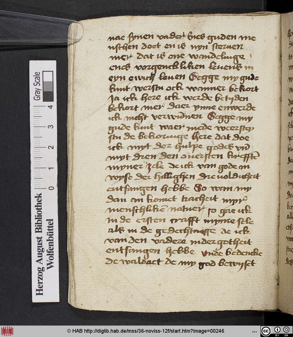 http://diglib.hab.de/mss/36-noviss-12f/00246.jpg