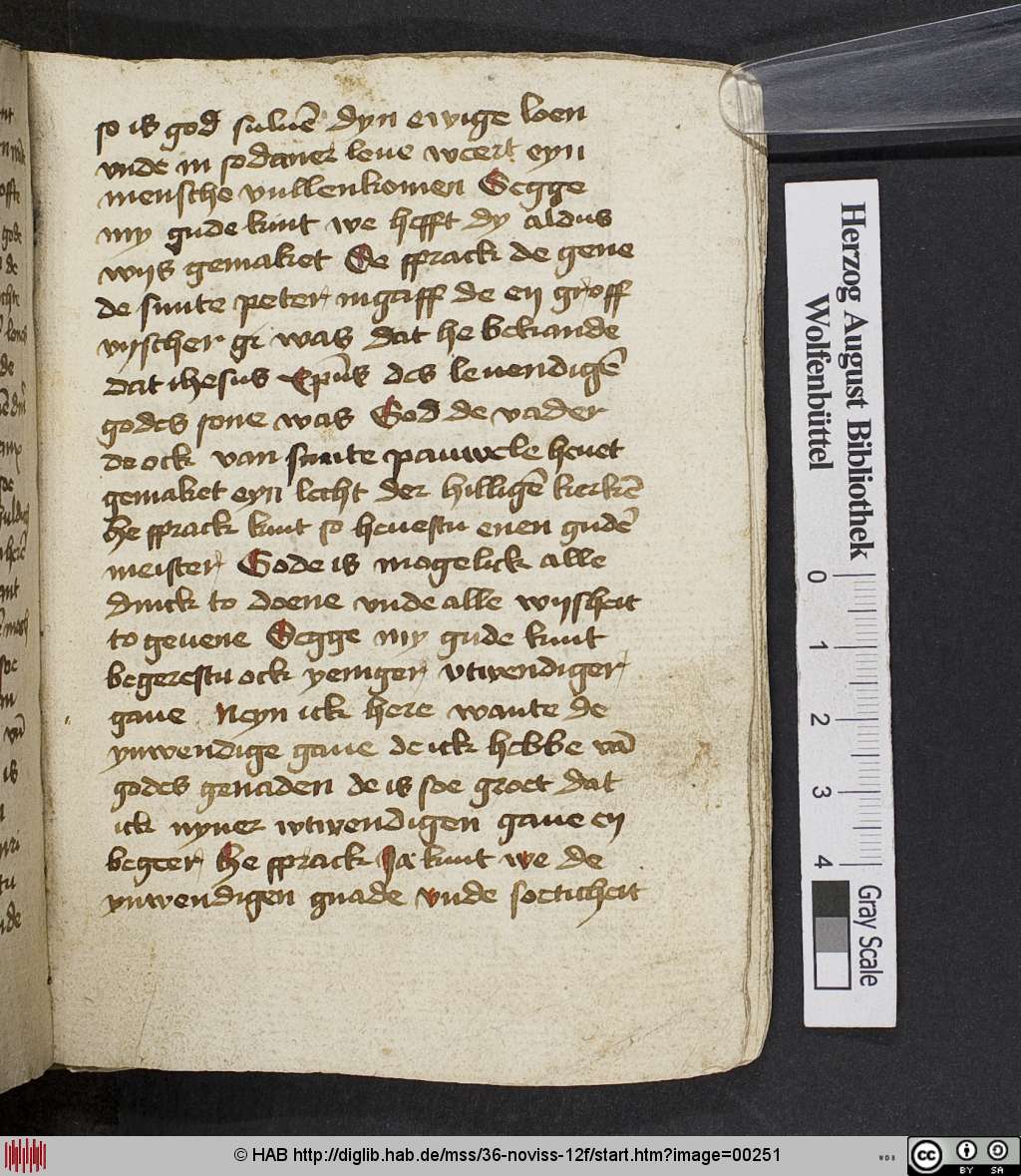 http://diglib.hab.de/mss/36-noviss-12f/00251.jpg