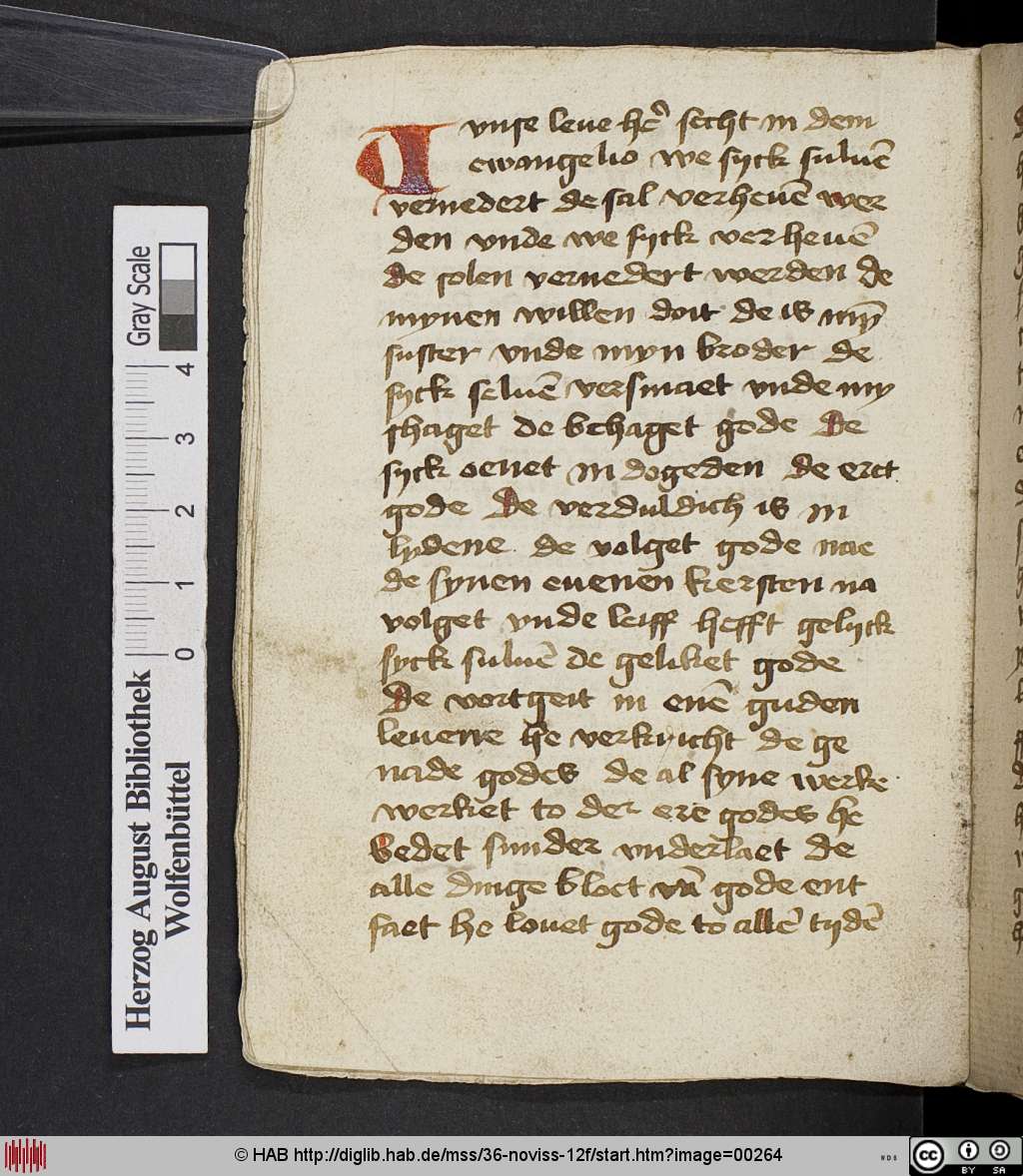 http://diglib.hab.de/mss/36-noviss-12f/00264.jpg