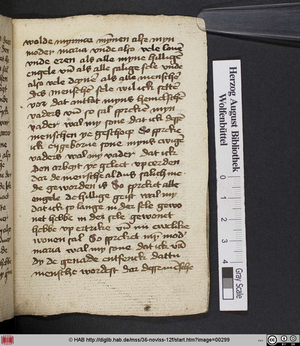 http://diglib.hab.de/mss/36-noviss-12f/00299.jpg