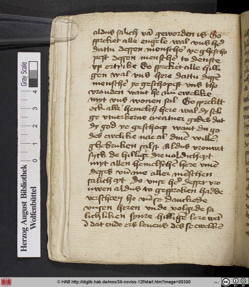 http://diglib.hab.de/mss/36-noviss-12f/00300.jpg