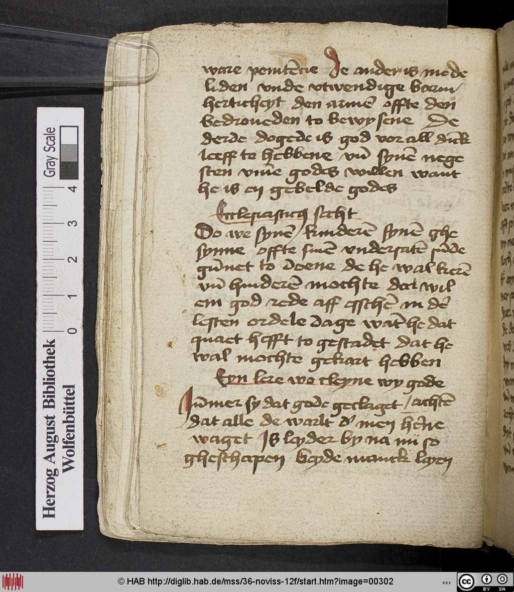 http://diglib.hab.de/mss/36-noviss-12f/00302.jpg