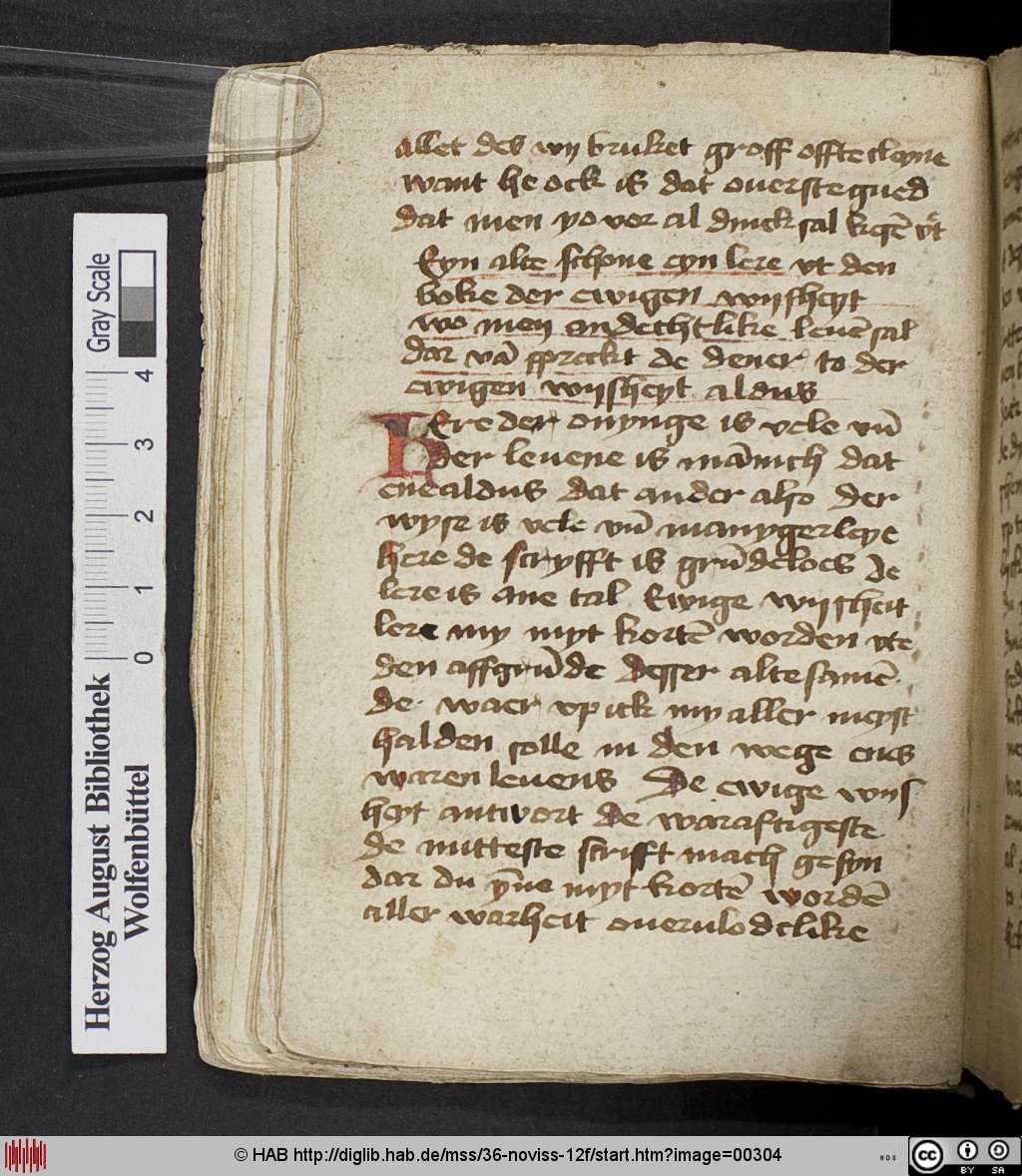 http://diglib.hab.de/mss/36-noviss-12f/00304.jpg