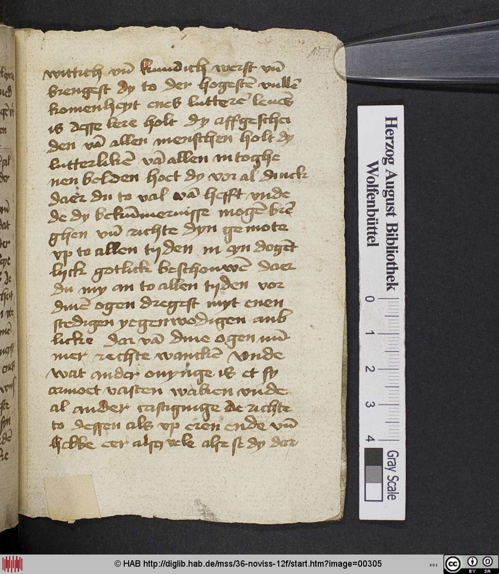 http://diglib.hab.de/mss/36-noviss-12f/00305.jpg