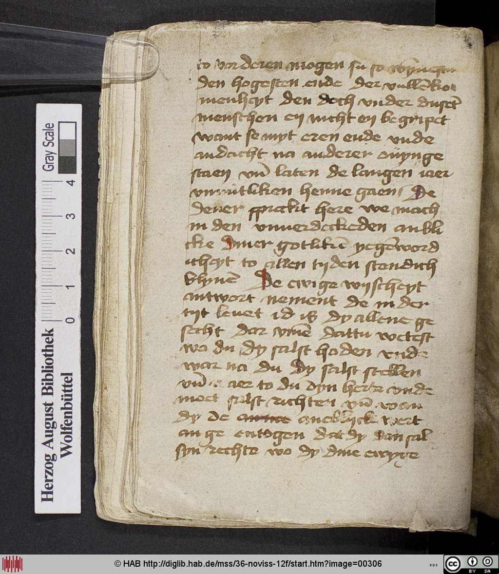 http://diglib.hab.de/mss/36-noviss-12f/00306.jpg