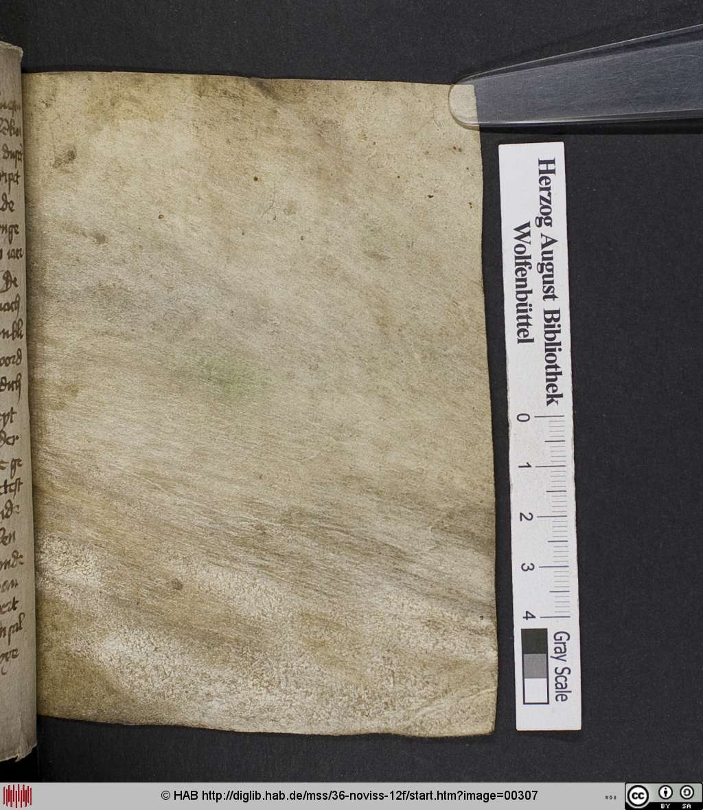 http://diglib.hab.de/mss/36-noviss-12f/00307.jpg