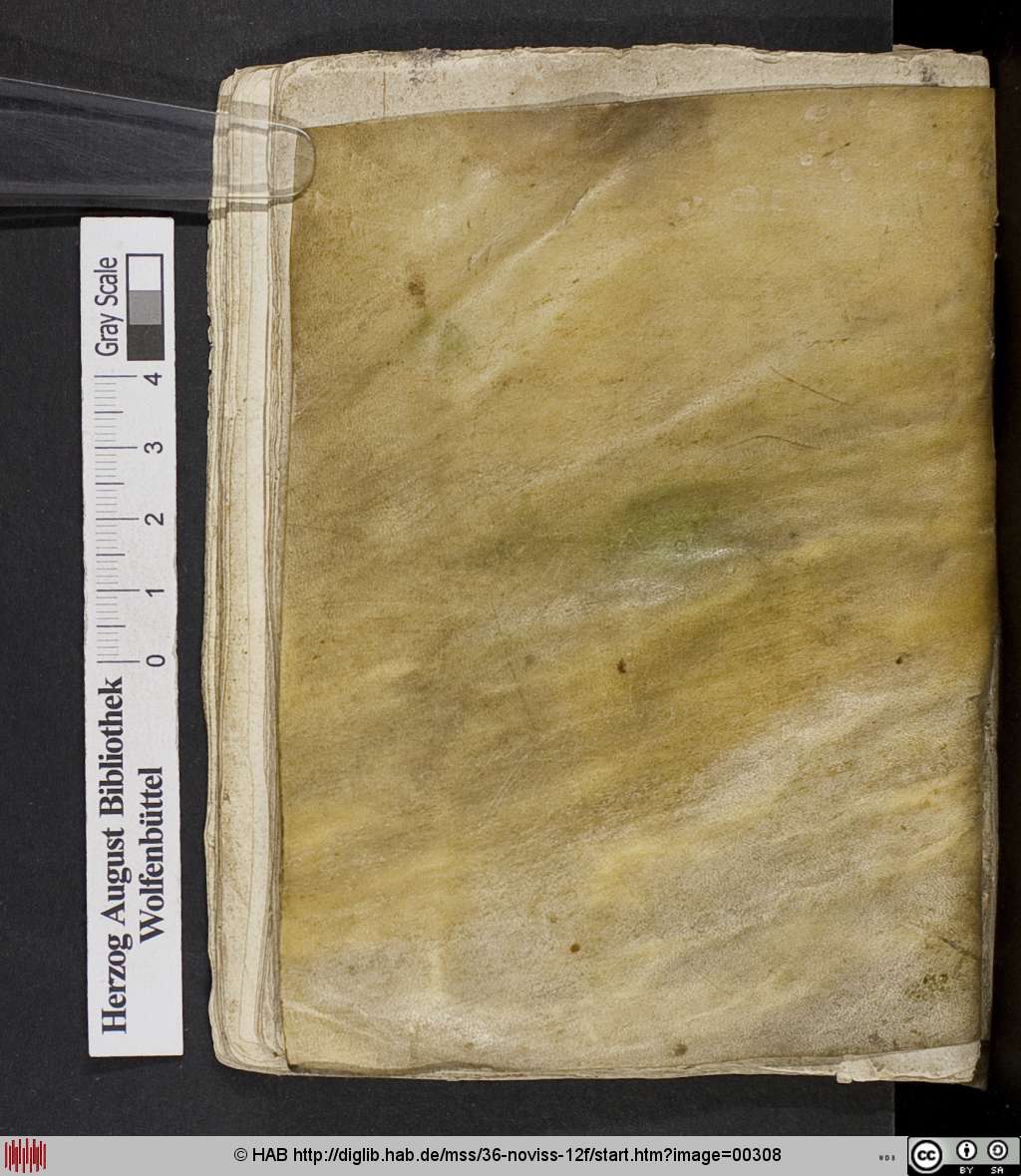 http://diglib.hab.de/mss/36-noviss-12f/00308.jpg