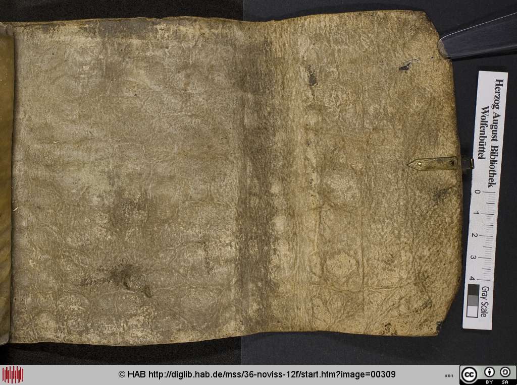 http://diglib.hab.de/mss/36-noviss-12f/00309.jpg