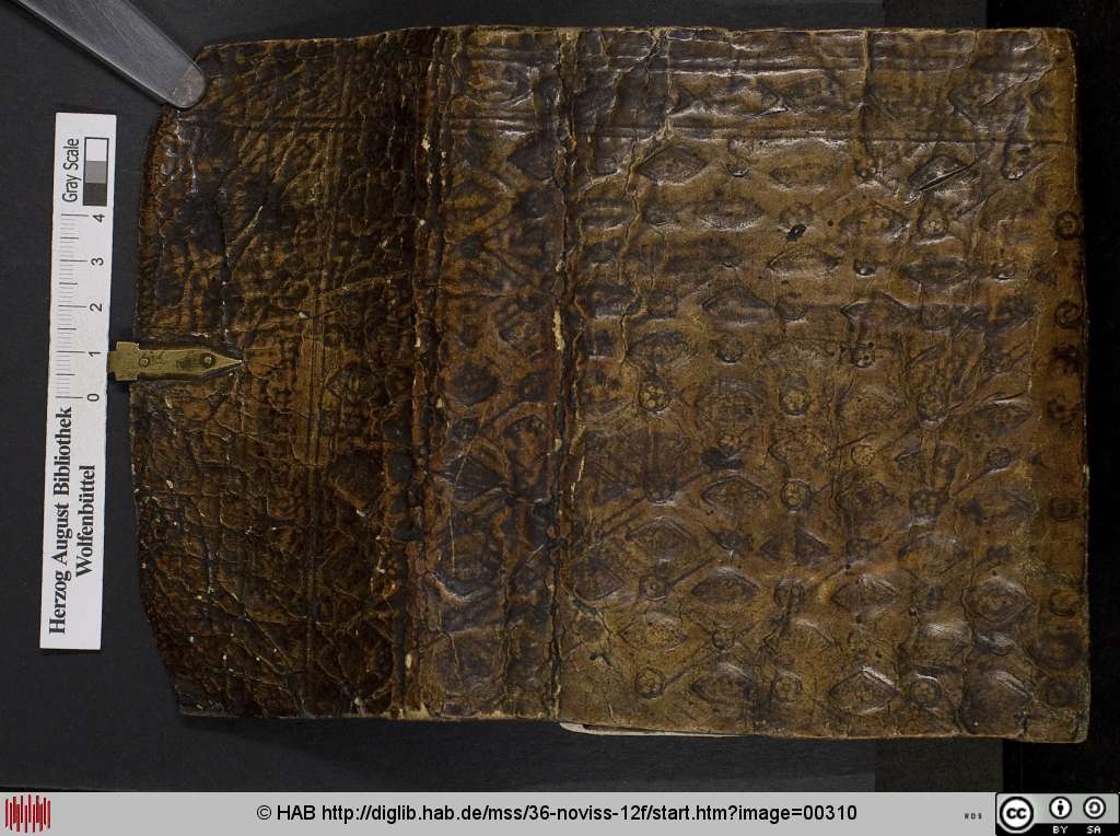 http://diglib.hab.de/mss/36-noviss-12f/00310.jpg