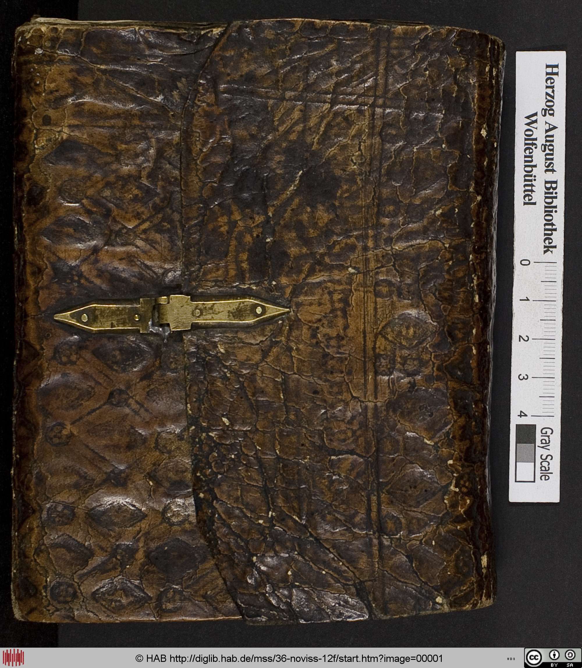 http://diglib.hab.de/mss/36-noviss-12f/max/00001.jpg