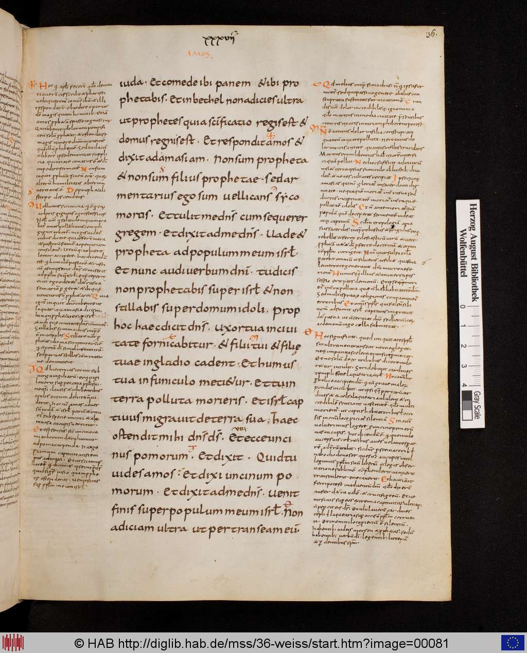 http://diglib.hab.de/mss/36-weiss/00081.jpg