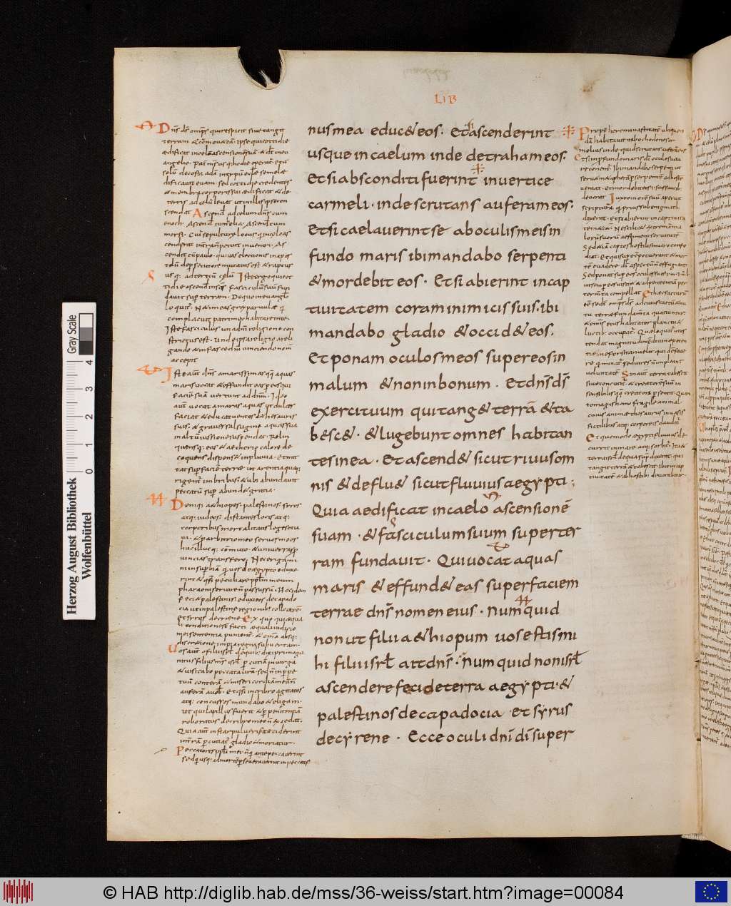 http://diglib.hab.de/mss/36-weiss/00084.jpg