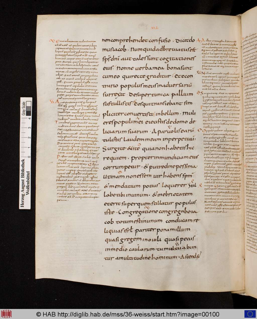 http://diglib.hab.de/mss/36-weiss/00100.jpg