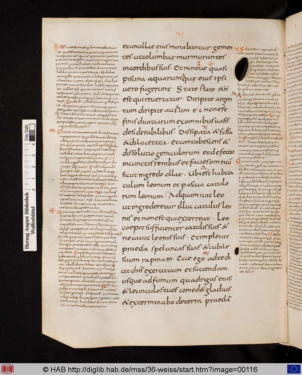 http://diglib.hab.de/mss/36-weiss/00116.jpg