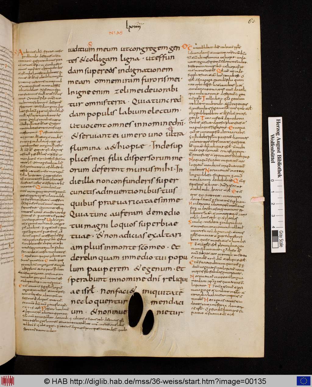 http://diglib.hab.de/mss/36-weiss/00135.jpg