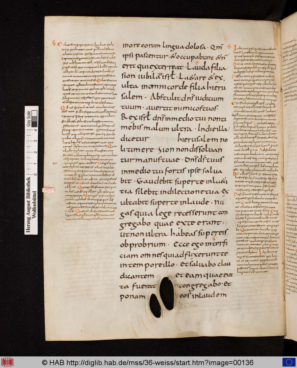 http://diglib.hab.de/mss/36-weiss/00136.jpg
