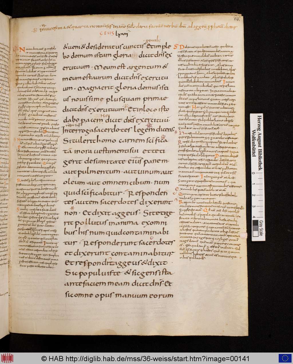 http://diglib.hab.de/mss/36-weiss/00141.jpg