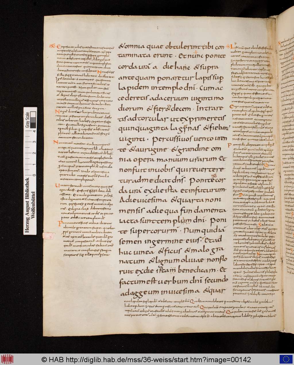 http://diglib.hab.de/mss/36-weiss/00142.jpg