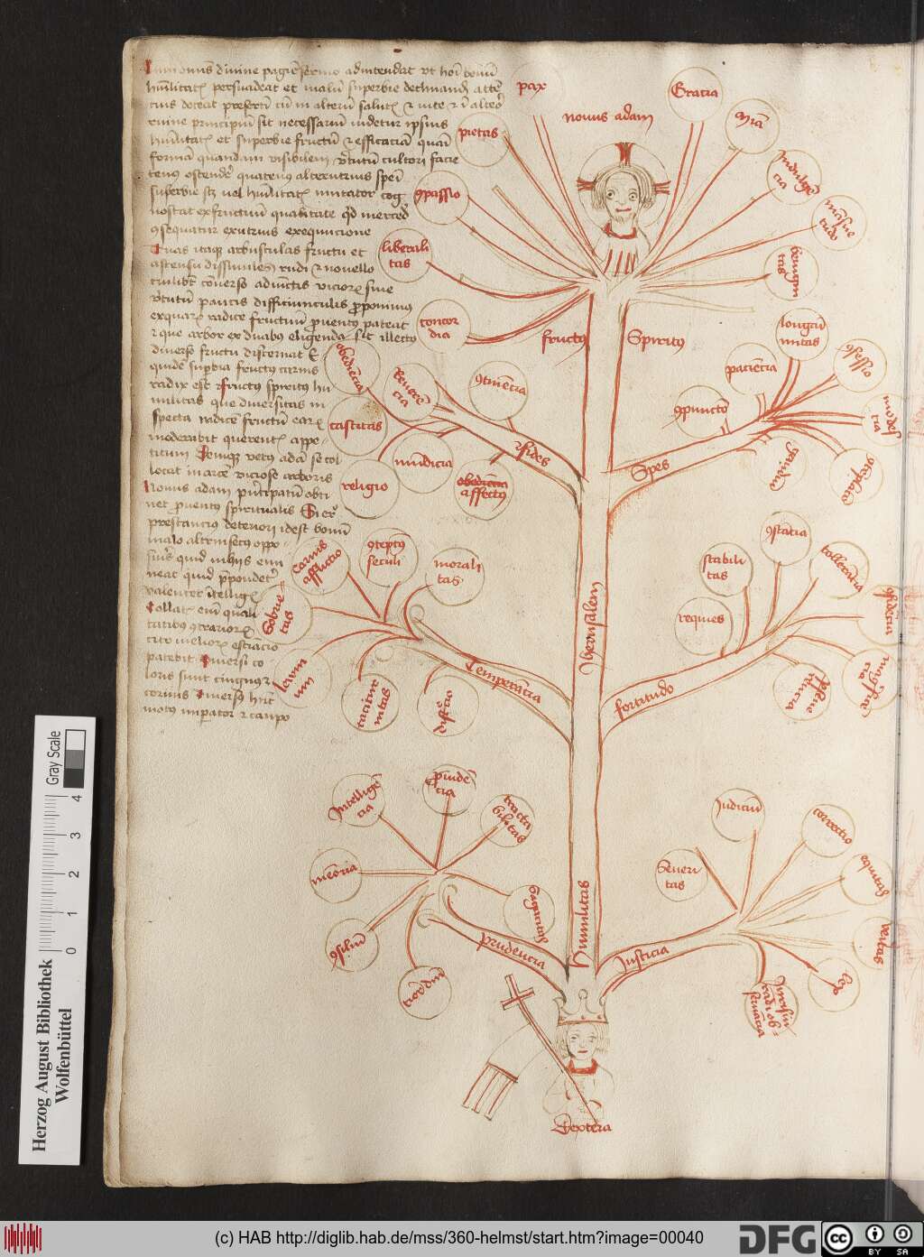 http://diglib.hab.de/mss/360-helmst/00040.jpg
