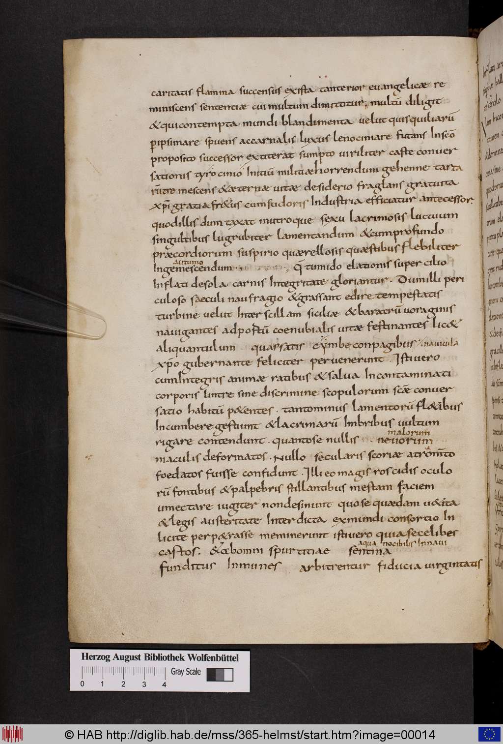 http://diglib.hab.de/mss/365-helmst/00014.jpg