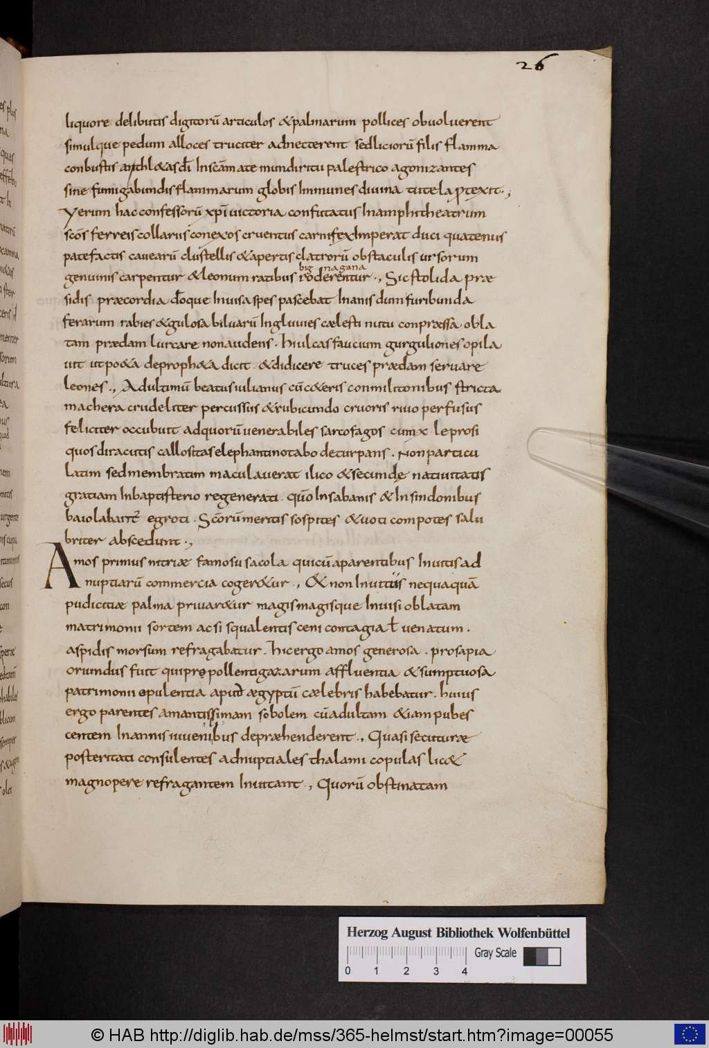 http://diglib.hab.de/mss/365-helmst/00055.jpg
