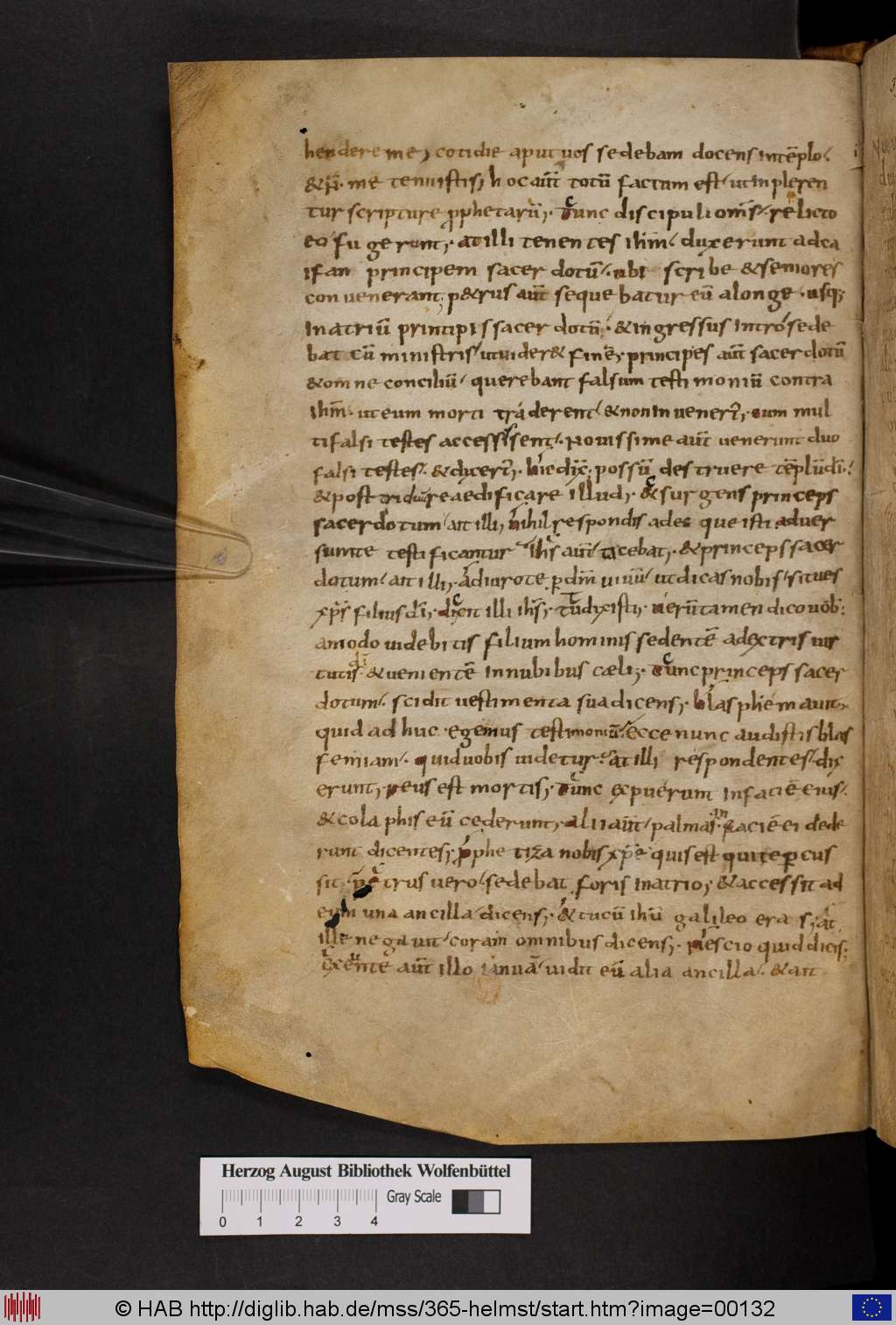 http://diglib.hab.de/mss/365-helmst/00132.jpg