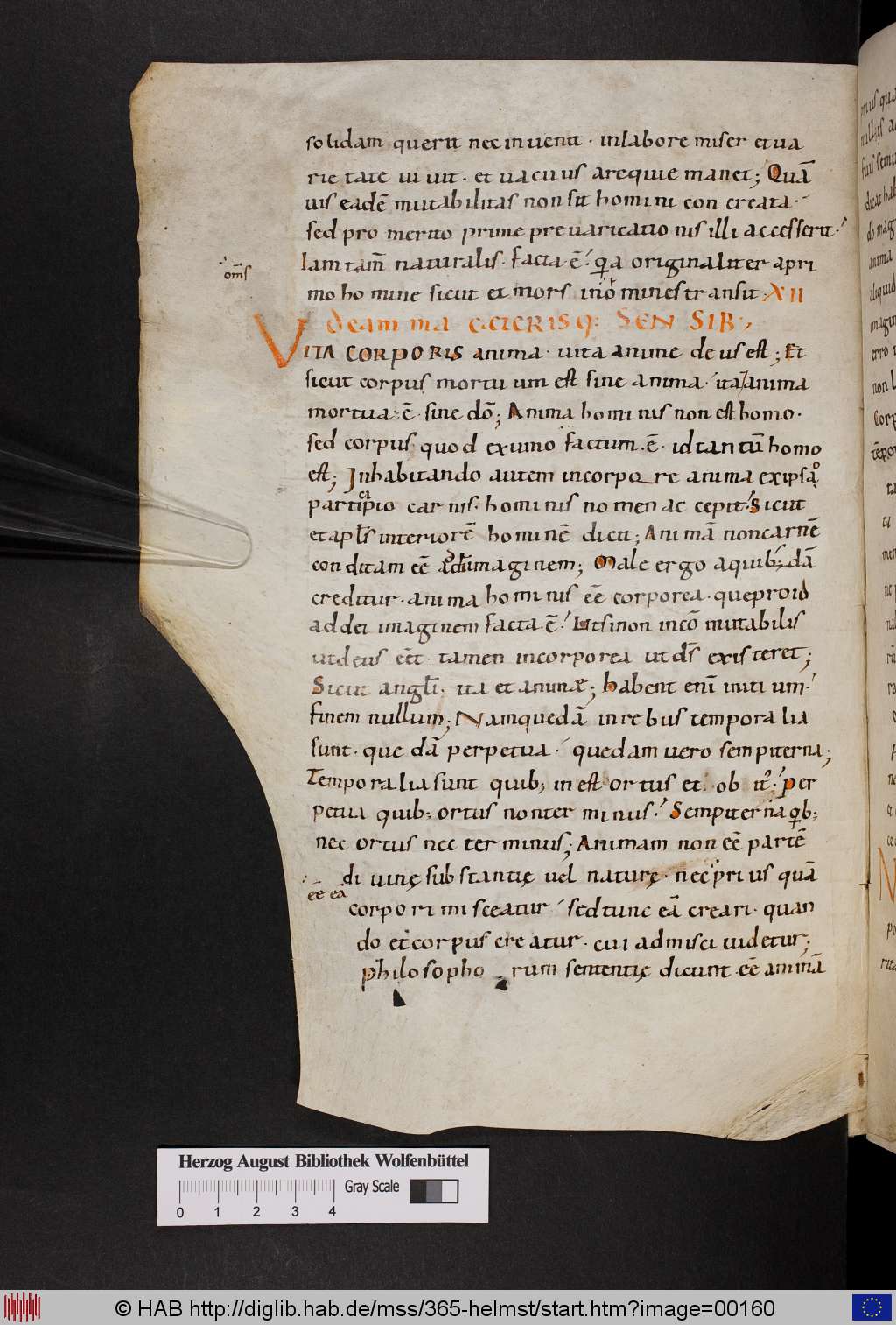 http://diglib.hab.de/mss/365-helmst/00160.jpg