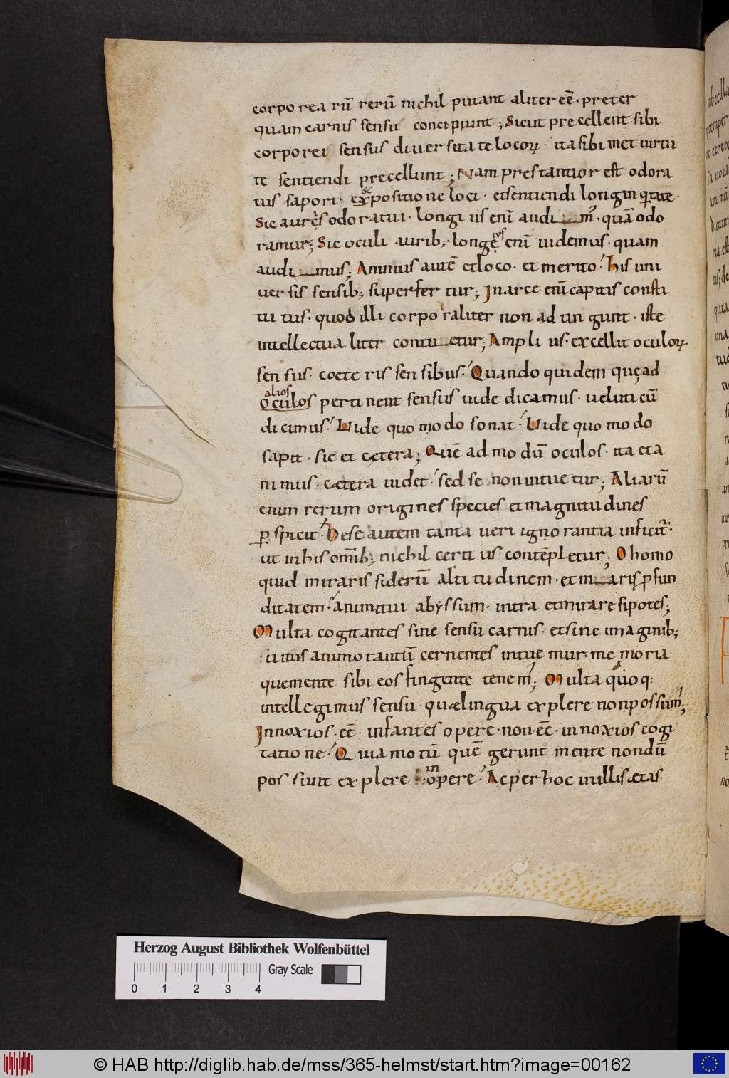http://diglib.hab.de/mss/365-helmst/00162.jpg