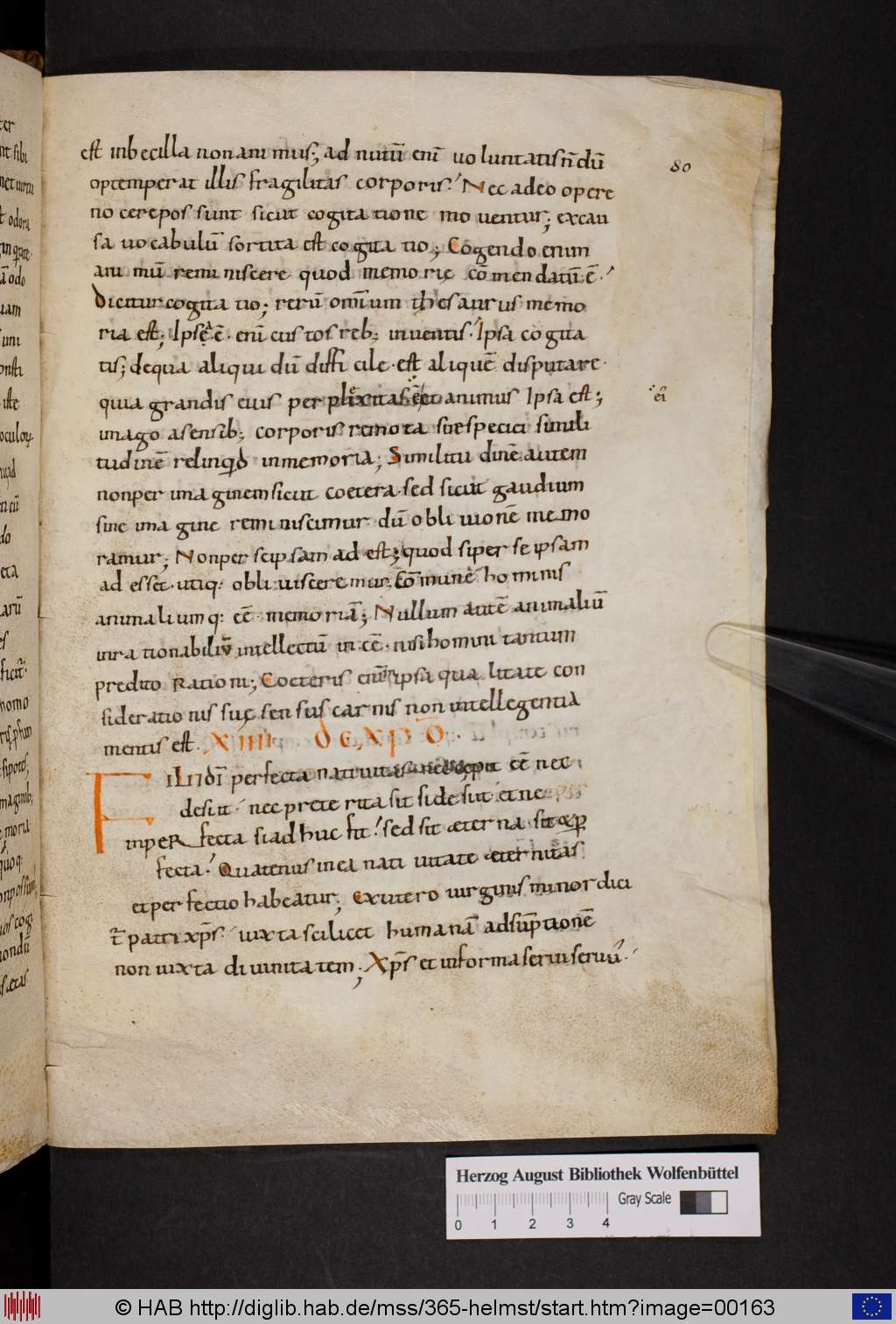 http://diglib.hab.de/mss/365-helmst/00163.jpg