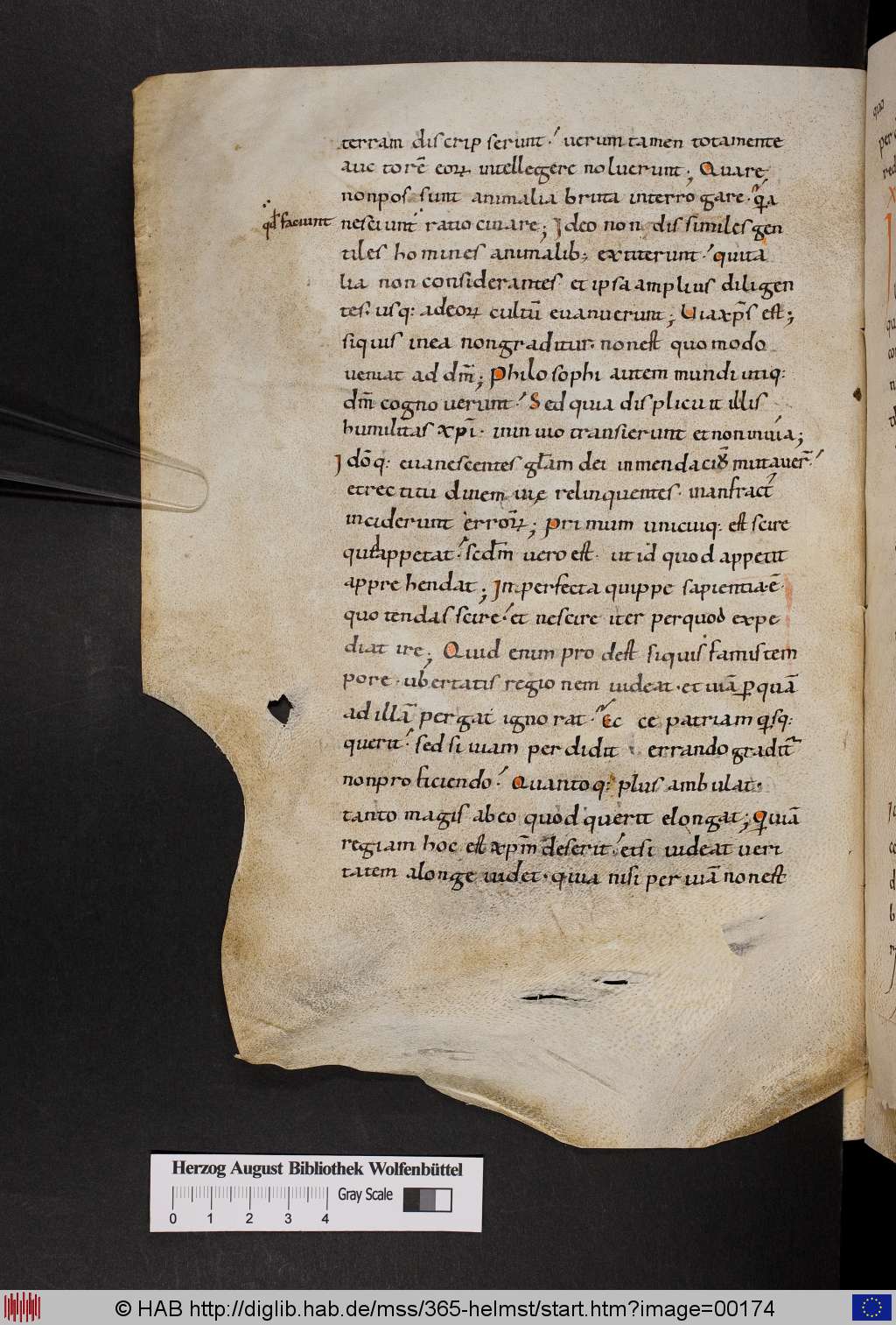 http://diglib.hab.de/mss/365-helmst/00174.jpg