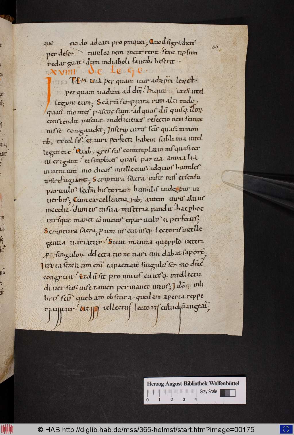 http://diglib.hab.de/mss/365-helmst/00175.jpg
