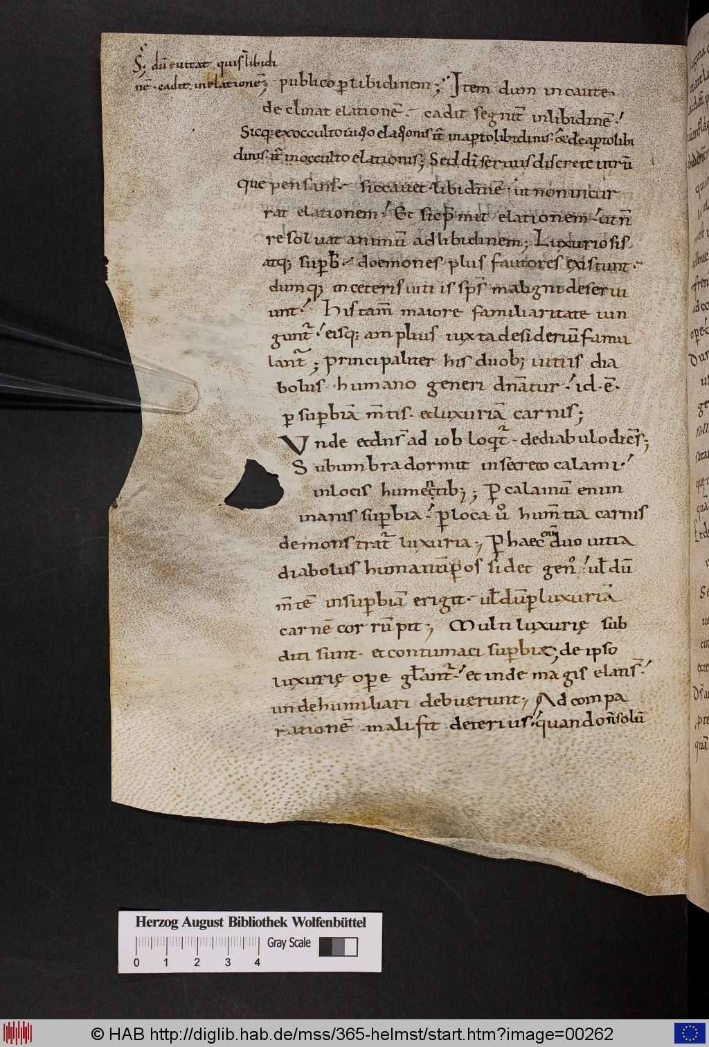 http://diglib.hab.de/mss/365-helmst/00262.jpg