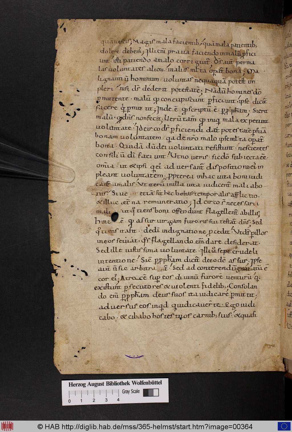 http://diglib.hab.de/mss/365-helmst/00364.jpg