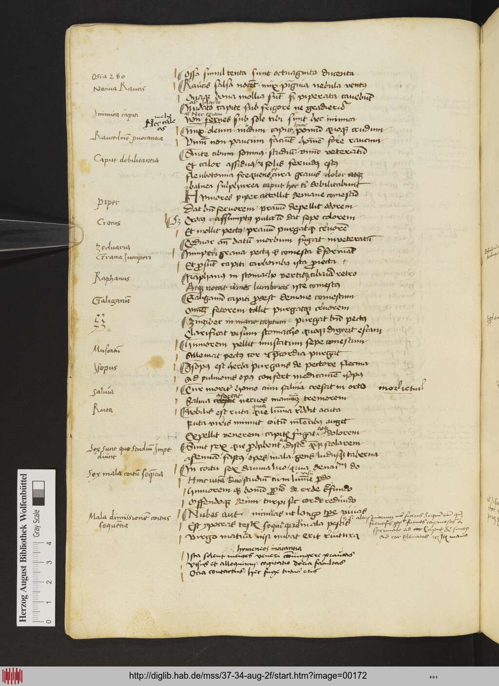 http://diglib.hab.de/mss/37-34-aug-2f/00172.jpg