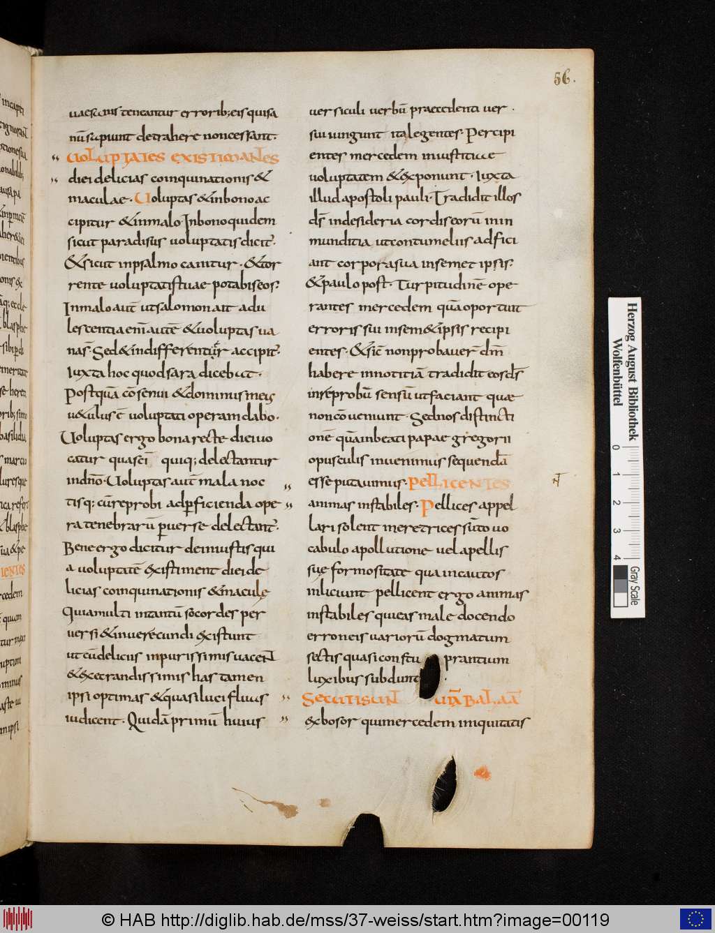 http://diglib.hab.de/mss/37-weiss/00119.jpg