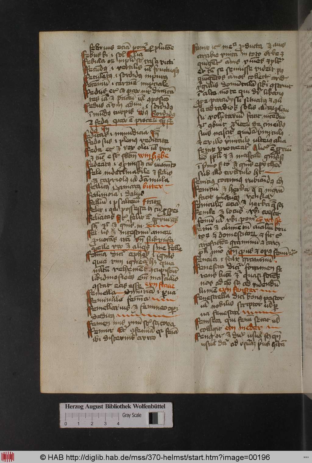 http://diglib.hab.de/mss/370-helmst/00196.jpg